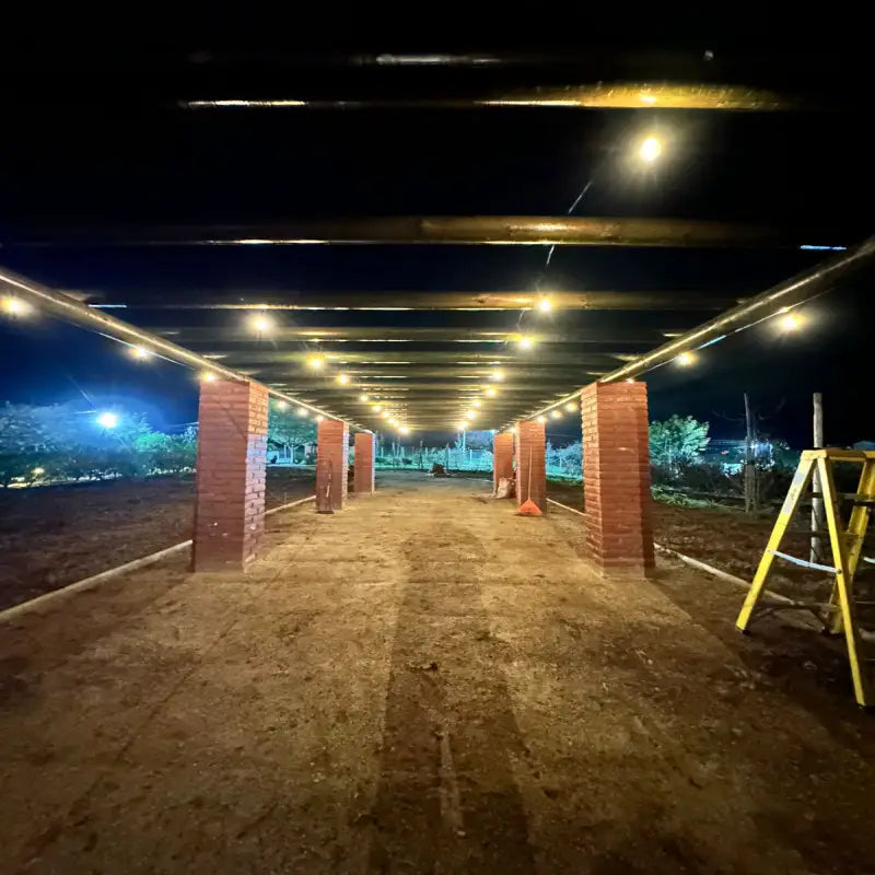 Guirnalda Solar LED 10 Metros con 10 Ampolletas de Luz Cálida para Exterior - Olimantech